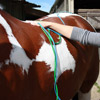TREATMENT - Electrotherapy (H-wave, laser, ultrasound)