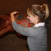 TREATMENTS UNDER SEDATION - upper cevical spine extension