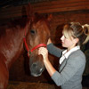 TREATMENTS UNDER SEDATION - cervical spine side flexion