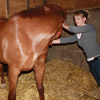 TREATMENTS UNDER SEDATION - cervical spine side flexion