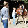 ASSESSMENT - Gait: straight line, circling, backing up, lunging and ridden