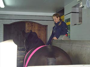 Activo-med Hydro treadmill training and education