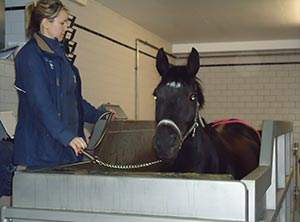 Activo-med Hydro treadmill training and education