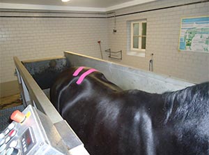 Activo-med Hydro treadmill training and education