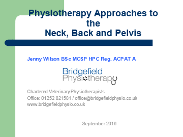 Free Back Pain Talk