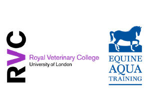 South East Regional Group Meeting