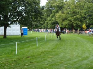 William Fox-Pitt riding Lionheart